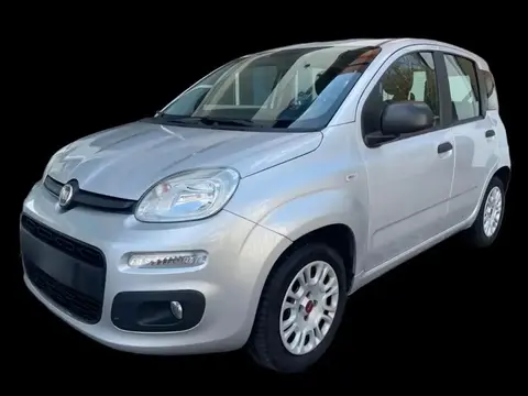 Annonce FIAT PANDA GPL 2018 d'occasion 