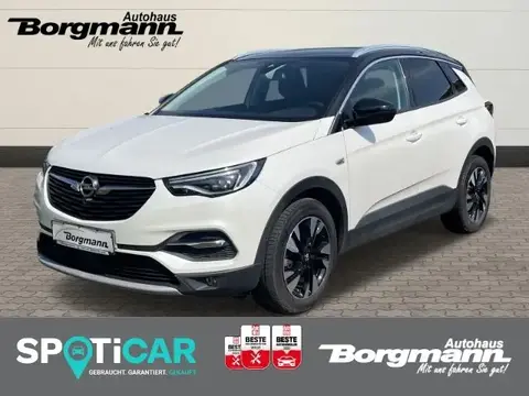 Used OPEL GRANDLAND Petrol 2021 Ad 