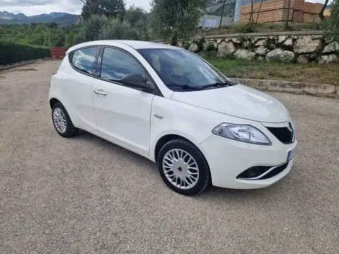 Used LANCIA YPSILON Diesel 2017 Ad 