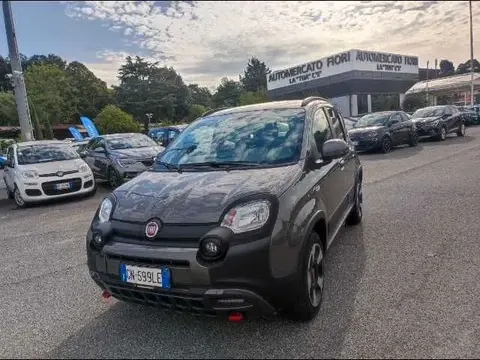 Annonce FIAT PANDA Hybride 2023 d'occasion 