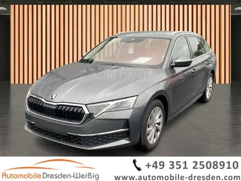 Used SKODA OCTAVIA Petrol 2024 Ad 