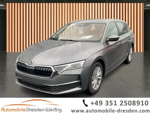 Used SKODA OCTAVIA Petrol 2024 Ad 