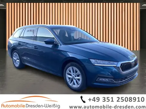 Used SKODA OCTAVIA Diesel 2023 Ad 