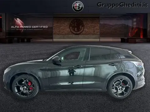 Annonce ALFA ROMEO STELVIO Diesel 2024 d'occasion 