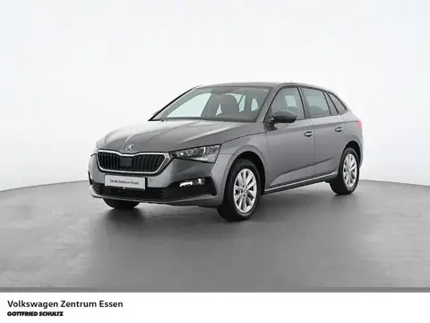 Annonce SKODA SCALA Essence 2024 d'occasion 