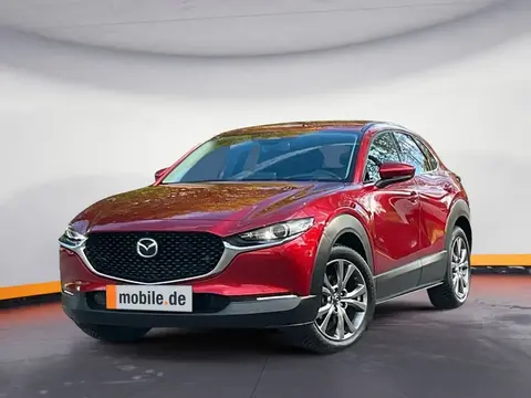 Annonce MAZDA CX-30 Essence 2024 d'occasion 