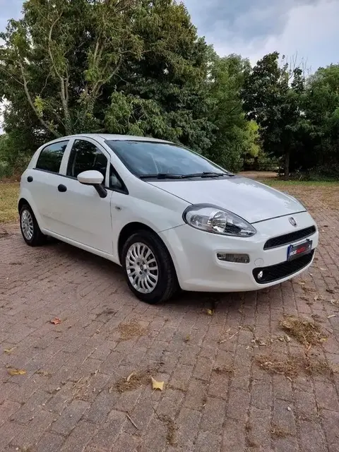 Annonce FIAT PUNTO GPL 2018 d'occasion 