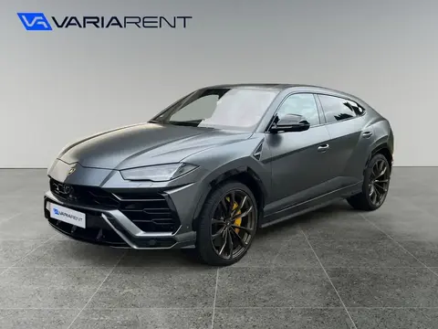 Used LAMBORGHINI URUS Petrol 2019 Ad 