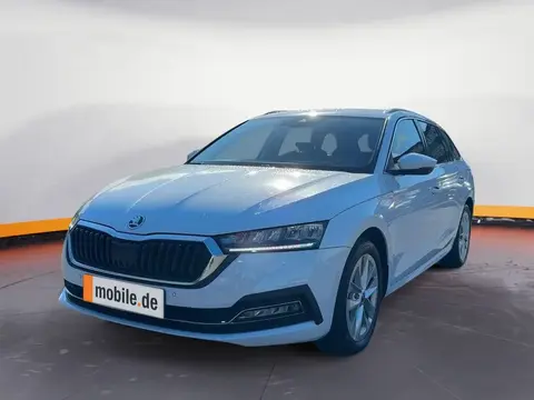 Annonce SKODA OCTAVIA Essence 2024 d'occasion 