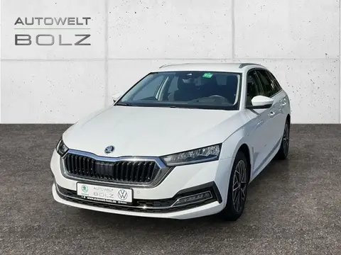 Annonce SKODA OCTAVIA Diesel 2024 d'occasion 