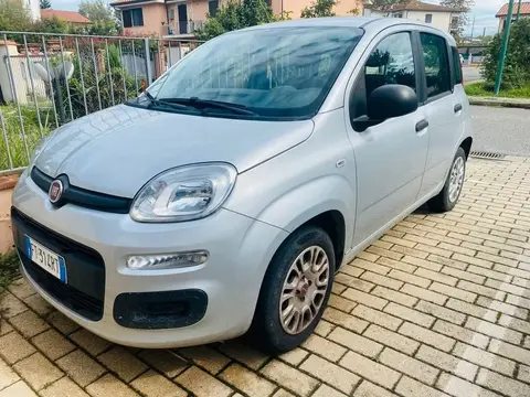 Used FIAT PANDA Petrol 2019 Ad 