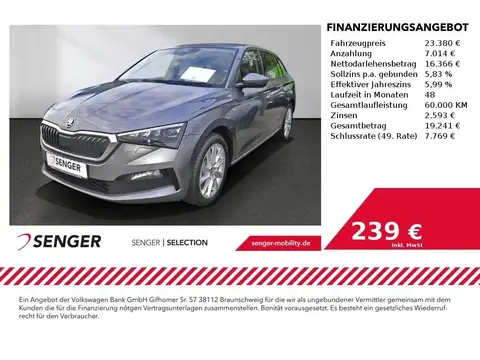 Used SKODA SCALA Petrol 2023 Ad 