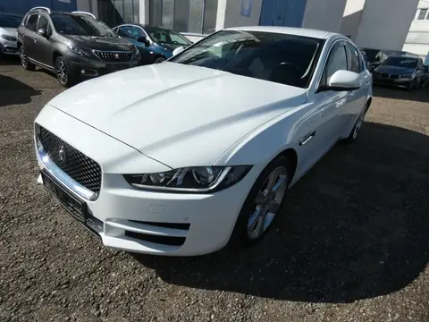 Annonce JAGUAR XE Diesel 2016 d'occasion 