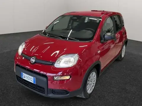 Annonce FIAT PANDA Hybride 2024 d'occasion 