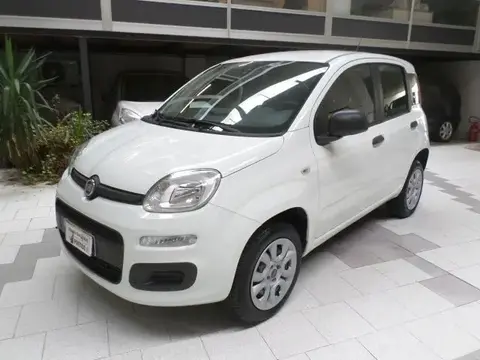 Used FIAT PANDA Petrol 2018 Ad 