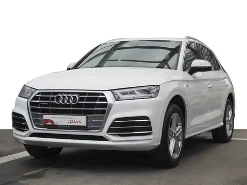 Used AUDI Q5 Hybrid 2021 Ad 