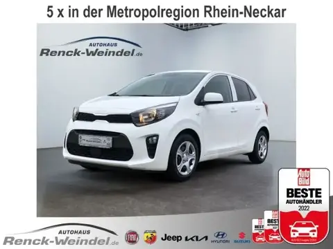 Used KIA PICANTO Petrol 2024 Ad 