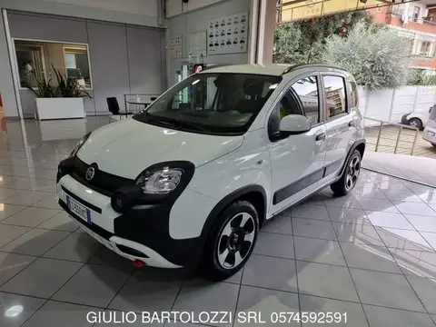 Used FIAT PANDA Hybrid 2024 Ad 