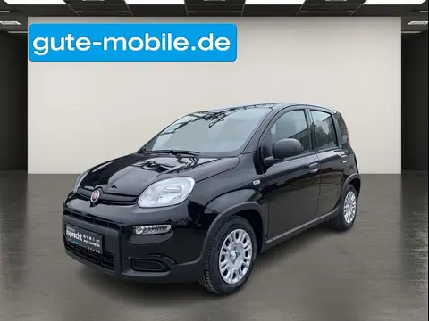 Annonce FIAT PANDA Essence 2024 d'occasion 