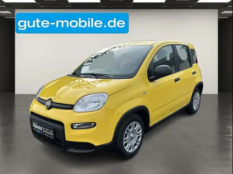 Annonce FIAT PANDA Essence 2024 d'occasion 