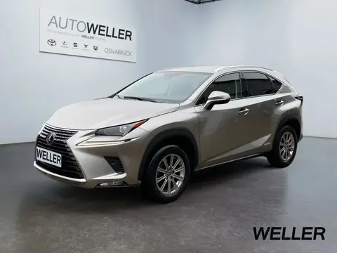 Annonce LEXUS NX Hybride 2020 d'occasion 