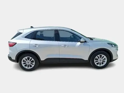 Used FORD KUGA Diesel 2020 Ad 