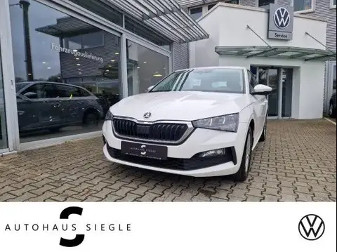 Annonce SKODA SCALA Diesel 2020 d'occasion 