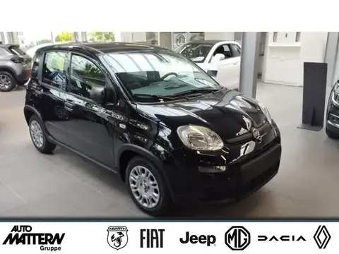 Annonce FIAT PANDA Essence 2024 d'occasion 