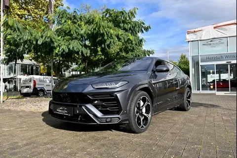 Used LAMBORGHINI URUS Petrol 2019 Ad 