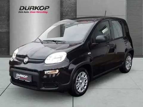 Annonce FIAT PANDA Essence 2024 d'occasion 