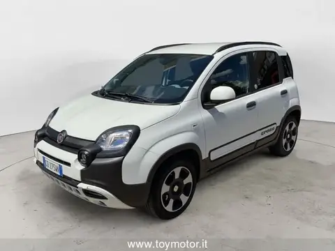 Used FIAT PANDA Hybrid 2021 Ad 