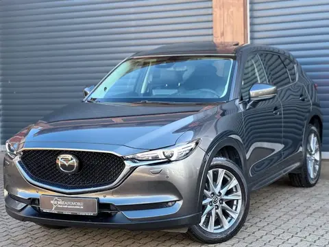 Used MAZDA CX-5 Petrol 2021 Ad 