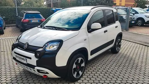 Used FIAT PANDA Hybrid 2020 Ad 