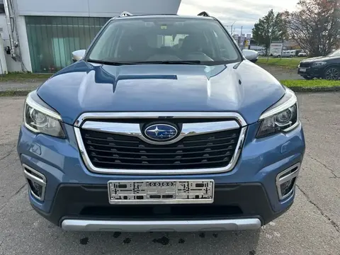 Used SUBARU FORESTER Petrol 2021 Ad 