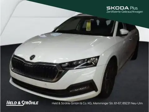 Used SKODA OCTAVIA Petrol 2024 Ad 