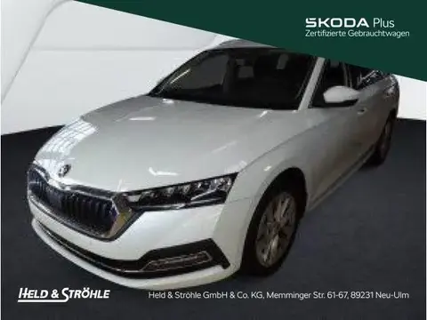 Annonce SKODA OCTAVIA Essence 2024 d'occasion 