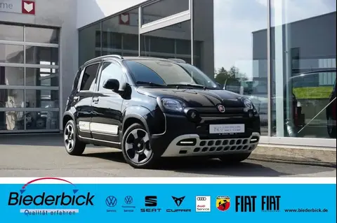 Annonce FIAT PANDA Essence 2024 d'occasion 