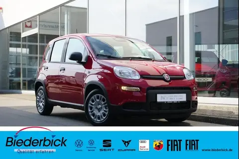 Annonce FIAT PANDA Essence 2024 d'occasion 