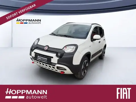 Used FIAT PANDA Petrol 2024 Ad 