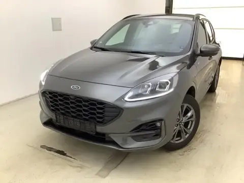 Used FORD KUGA Hybrid 2023 Ad 