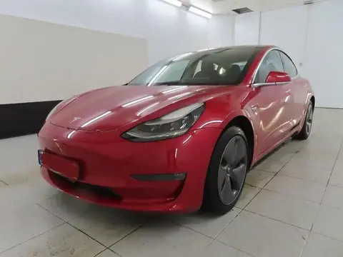 Used TESLA MODEL 3 Not specified 2020 Ad 