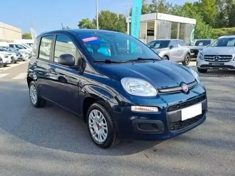 Annonce FIAT PANDA Essence 2021 d'occasion 