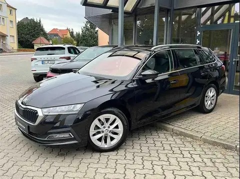 Annonce SKODA OCTAVIA Diesel 2021 d'occasion 