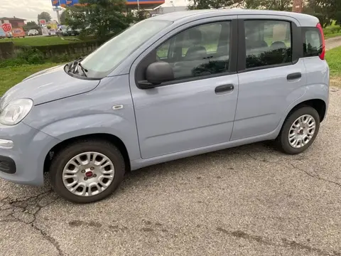 Used FIAT PANDA Petrol 2019 Ad 