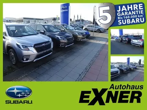 Used SUBARU FORESTER Hybrid 2024 Ad 