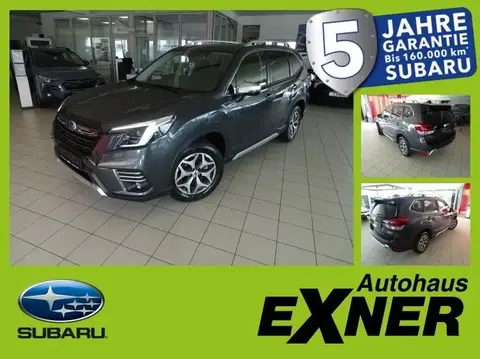 Annonce SUBARU FORESTER Hybride 2024 d'occasion 