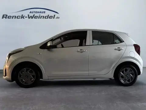 Used KIA PICANTO Petrol 2024 Ad 