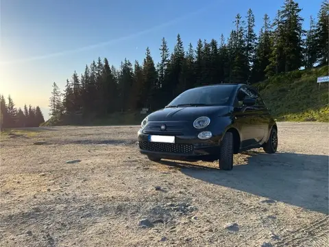 Used FIAT 500 Petrol 2020 Ad 