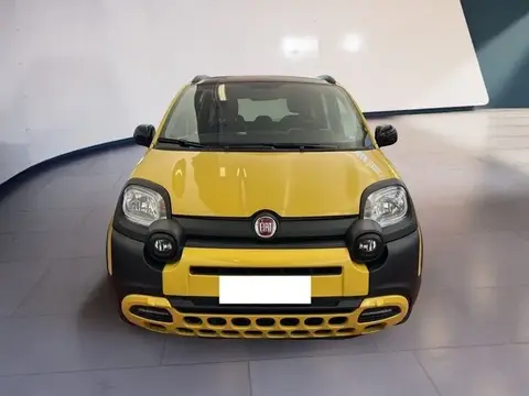 Annonce FIAT PANDA Hybride 2021 d'occasion 