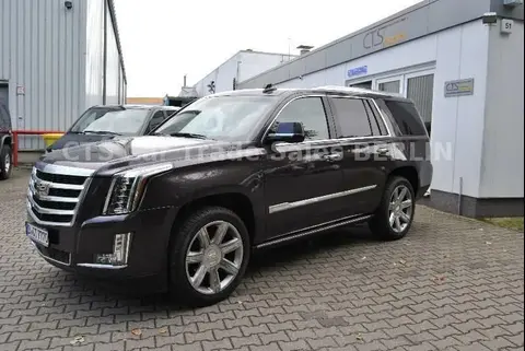 Used CADILLAC ESCALADE Petrol 2015 Ad 